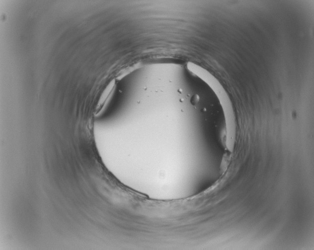 X0000053060045200508081205