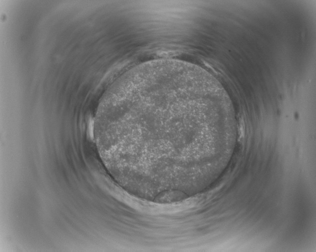 X0000053060046200508081205