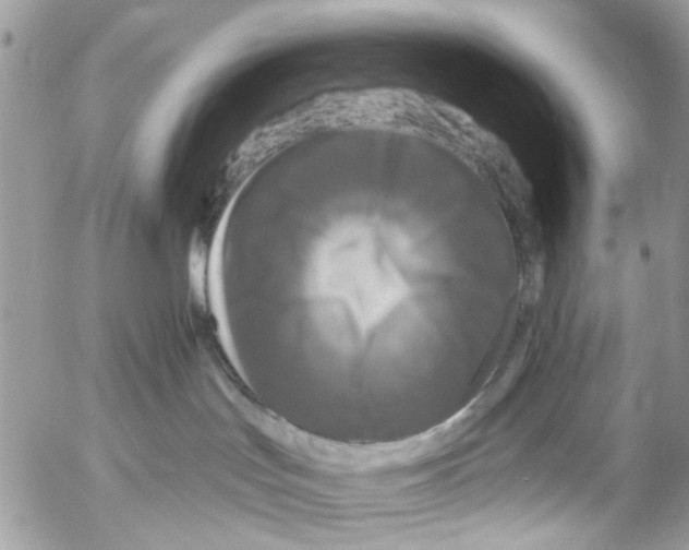 X0000053060047200508081205