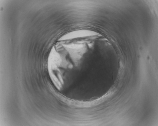 X0000053060048200508081205