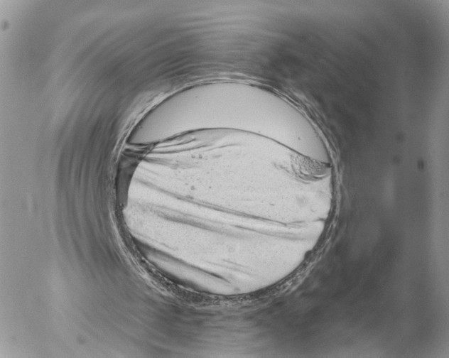 X0000053060049200508081204