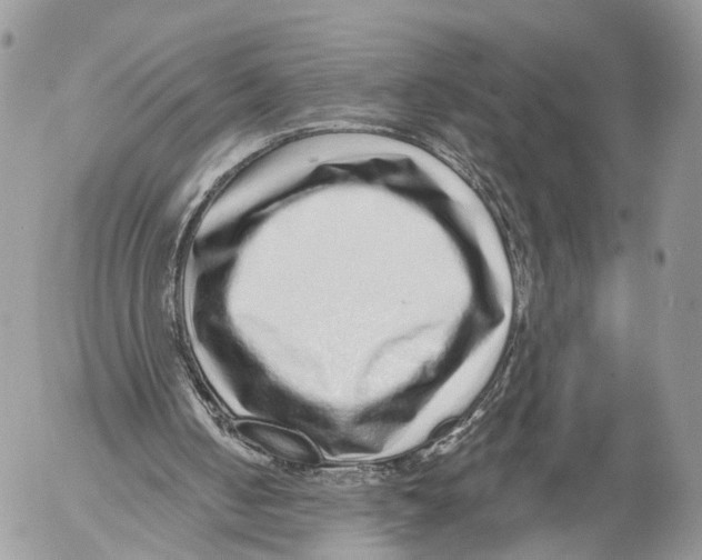 X0000053060050200508081204