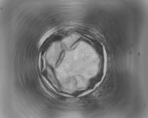 X0000053060051200508081204