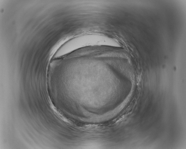 X0000053060052200508081204