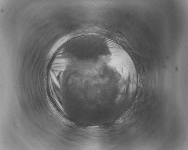 X0000053060054200508081204