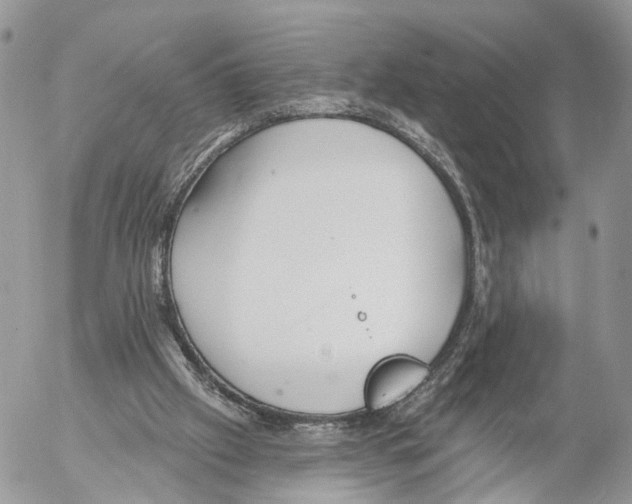 X0000053060057200508081204