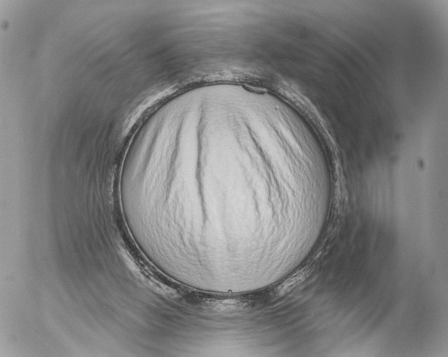 X0000053060058200508081204