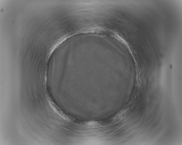 X0000053060059200508081204