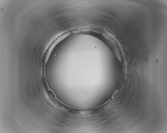 X0000053060060200508081204