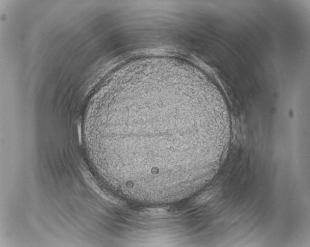 X0000053060061200508081204