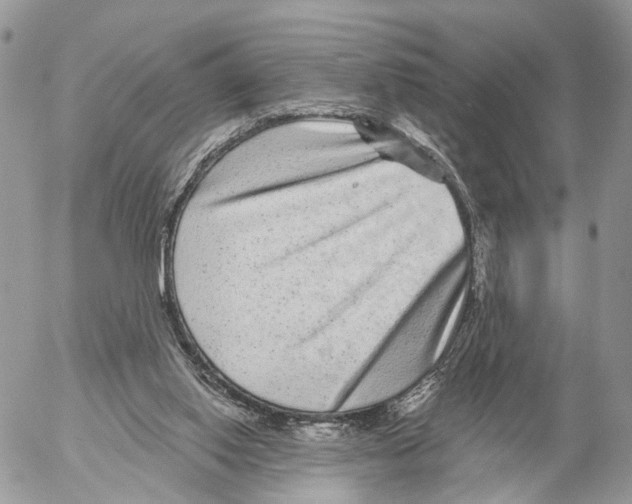 X0000053060062200508081204