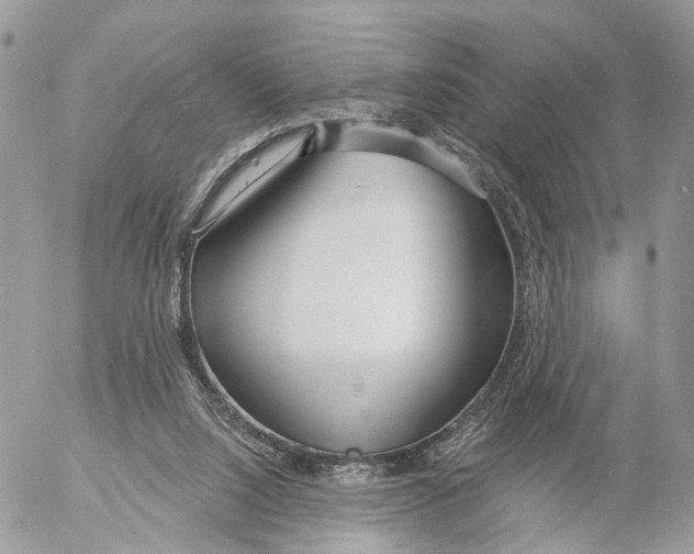 X0000053060064200508081204