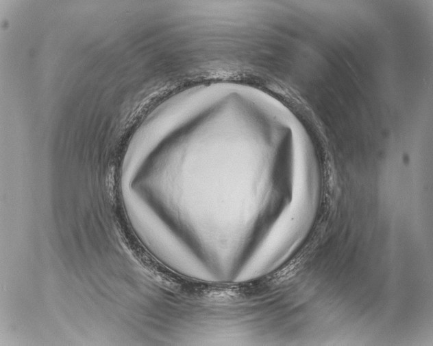 X0000053060066200508081205