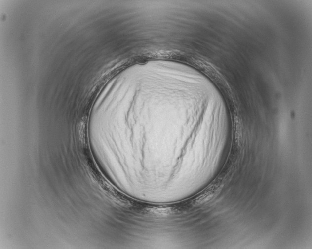 X0000053060071200508081205