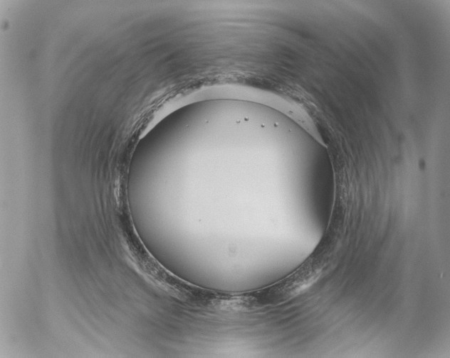 X0000053060072200508081205