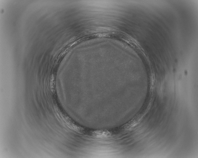 X0000053060073200508081205