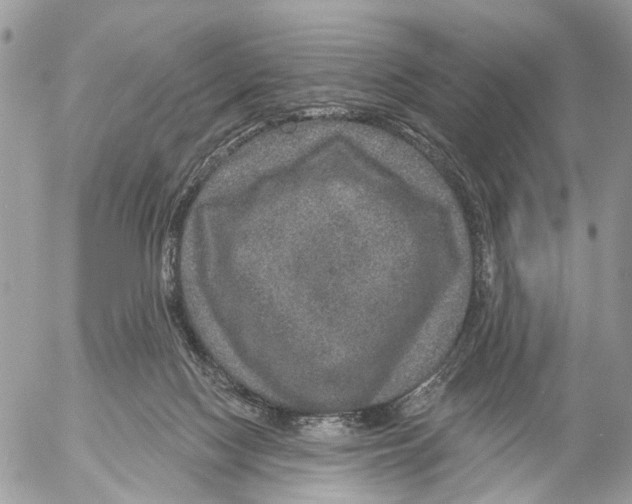 X0000053060074200508081205