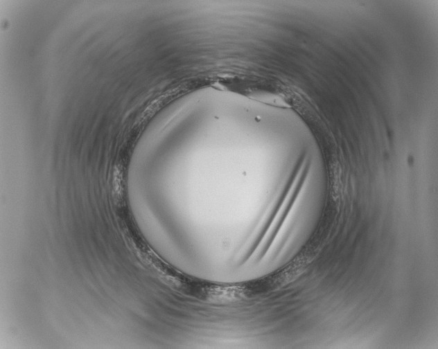 X0000053060077200508081205