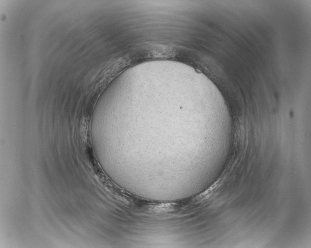 X0000053060078200508081205