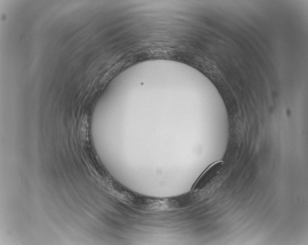 X0000053060083200508081205