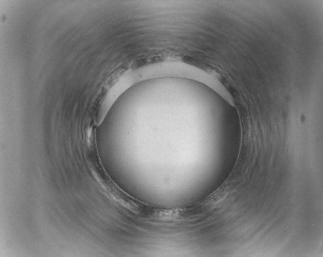 X0000053060084200508081205