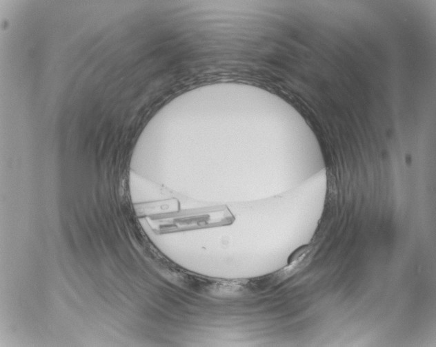 X0000053060086200508081205