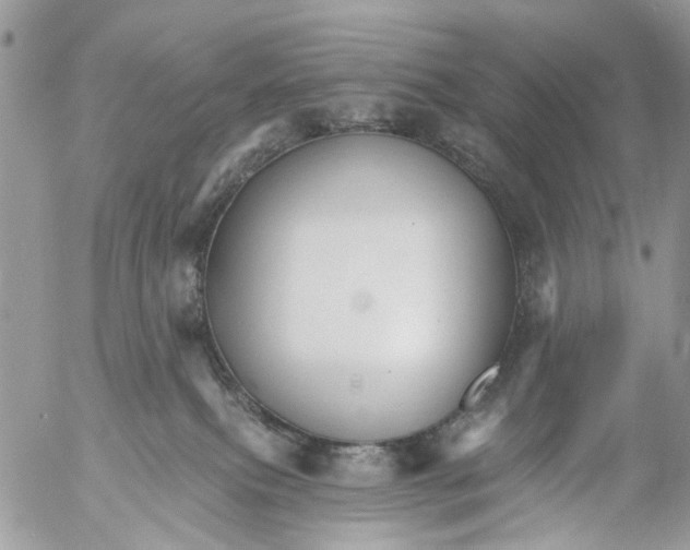 X0000053060087200508081205