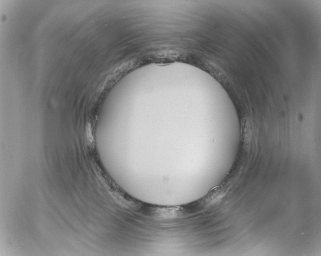 X0000053060089200508081205