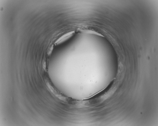 X0000053060096200508081205