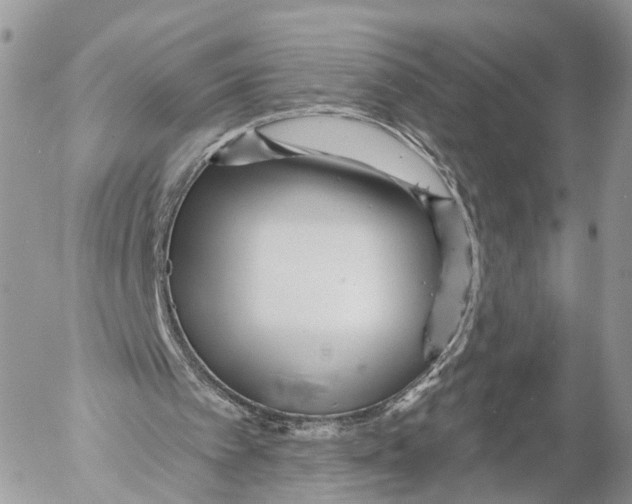 X0000053060097200508081204