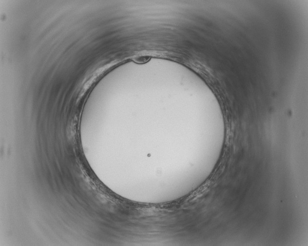 X0000053060098200508081204