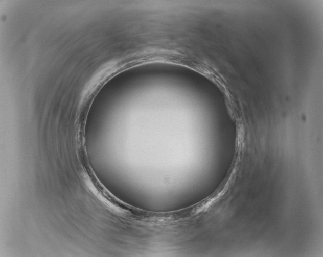 X0000053060101200508081204