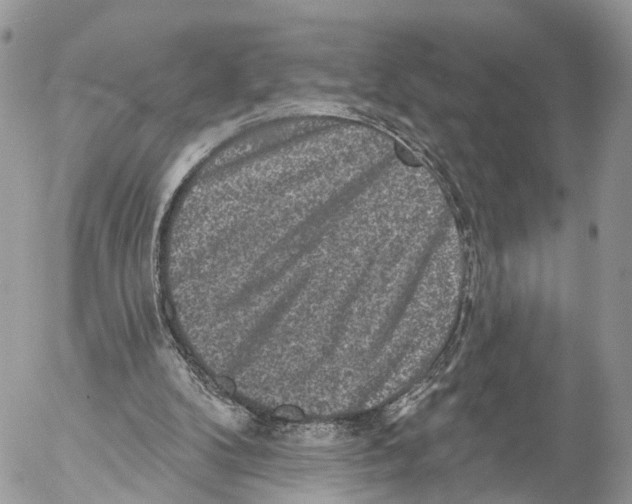 X0000053060104200508081204