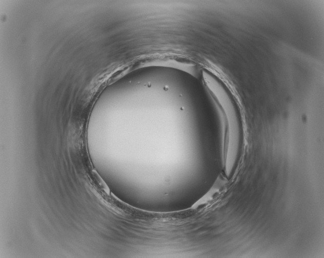 X0000053060105200508081204