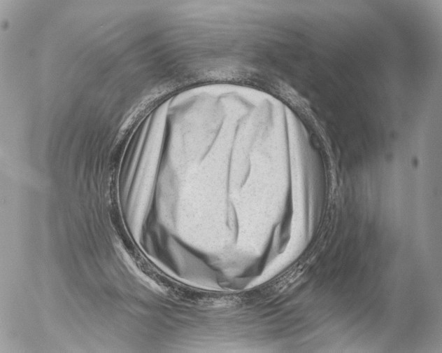 X0000053060106200508081204