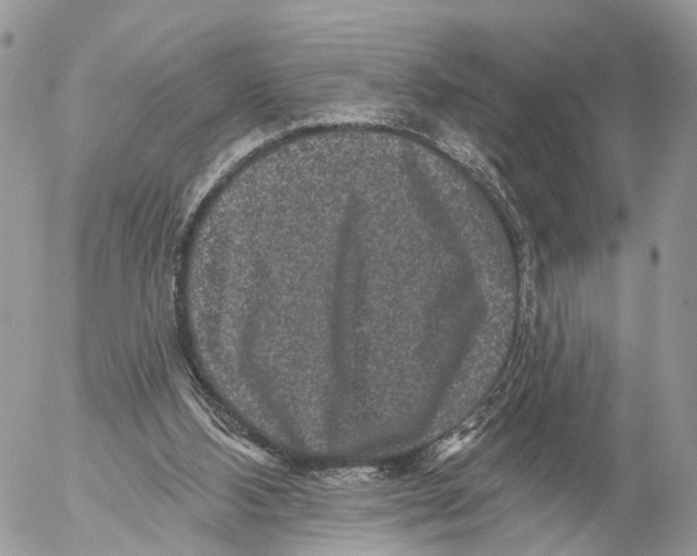 X0000053060108200508081204