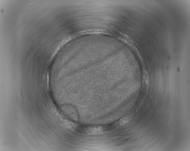 X0000053060110200508081204