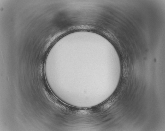 X0000053060111200508081204