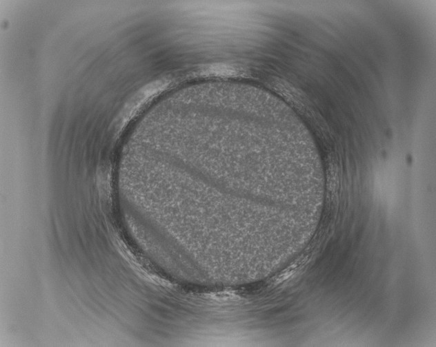 X0000053060112200508081204