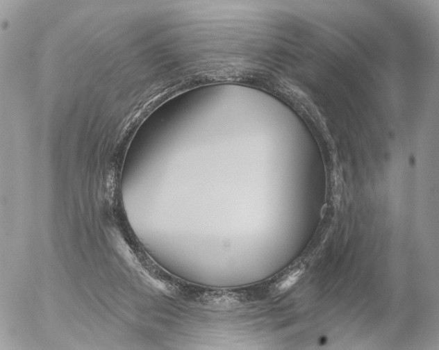 X0000053060113200508081204