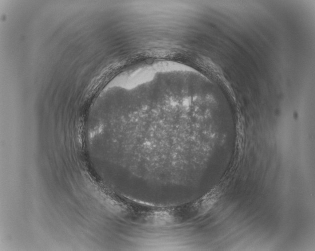 X0000053060114200508081204