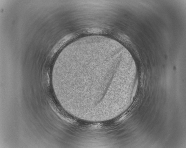 X0000053060116200508081204