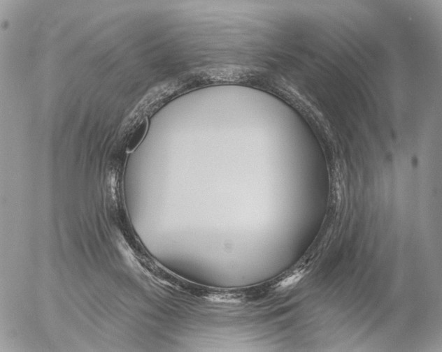 X0000053060117200508081204