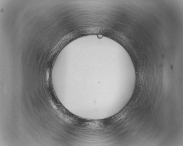 X0000053060118200508081204