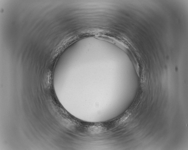 X0000053060119200508081204