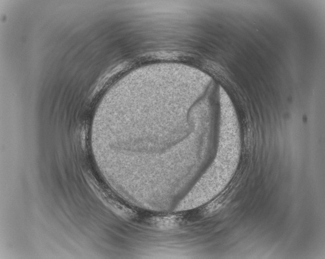 X0000053060120200508081204