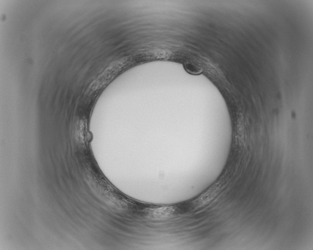 X0000053060122200508081204