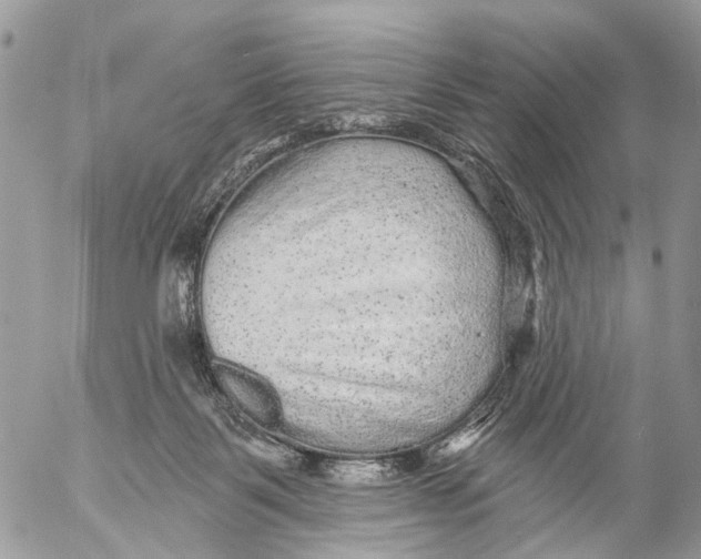 X0000053060123200508081204