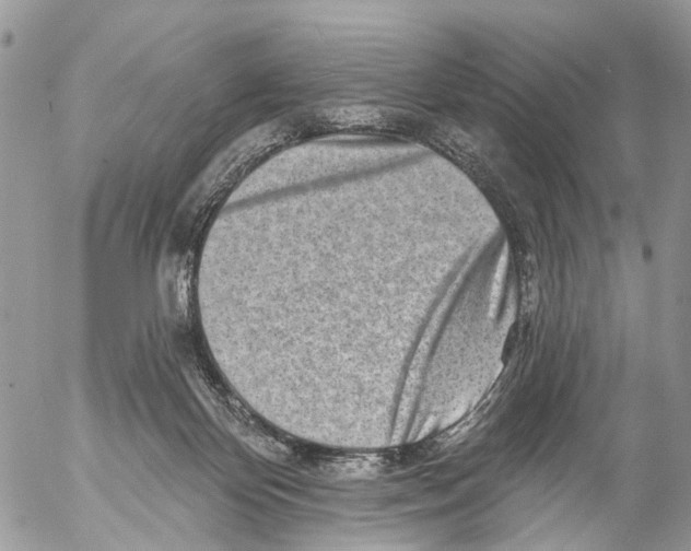 X0000053060124200508081204