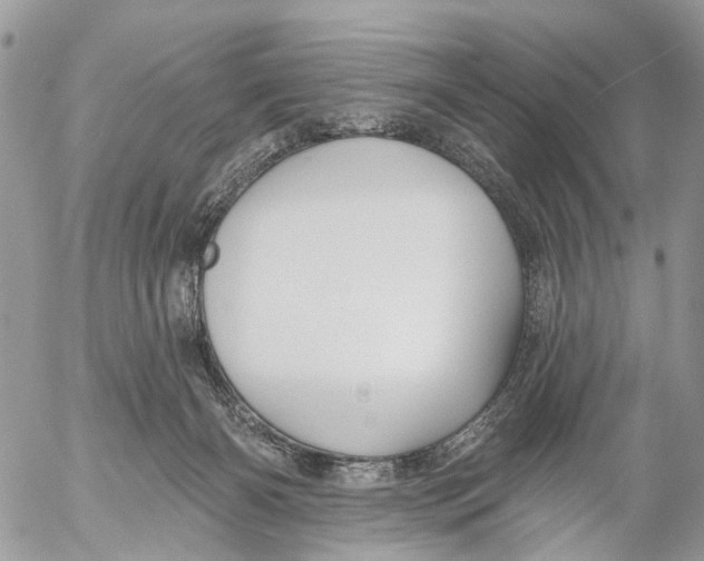 X0000053060126200508081204